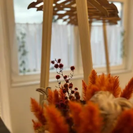 Boho Mit Aussicht Auf Gartenoase Naehe Duesseldorf Apartment *