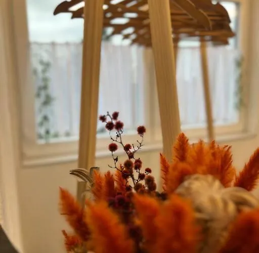 Boho Mit Aussicht Auf Gartenoase Naehe Duesseldorf Апартаменты *